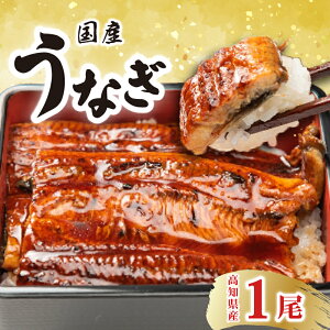 yӂ邳Ɣ[ŁzIIImYȂi1j@Ŗ키@l\ȂǐmỸEiM@Y@nŐlC̗LX@