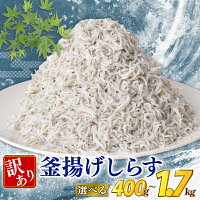 【ふるさと納税】 訳あり しらす 400g ～ 1.7kg 国産 冷凍 釜...
