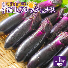 【ふるさと納税】 なす 選べる 1kg 2kg 3kg 3回定期便 6回定期便 約10本 ～ 30本 2025年10月中旬より発送予定 採れたて 産地直送 農家直送 選べる 回数 定期便 新鮮 旬 野菜 やさい 茄子 ナス なすび 先行予約 期間限定 季節 料理 ご飯 ごはん 高知県安芸市