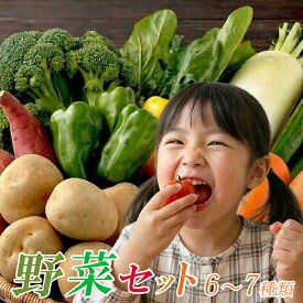 【ふるさと納税】 「安芸ブランド」 新鮮お野菜詰め合わせセット 6〜7種類 高知県安芸市 安芸駅ぢばさん市場 新鮮野菜 季節の果物 6~7種類程度 野菜 果物 詰め合わせ 採れたて 旬の野菜セット 健康 栄養