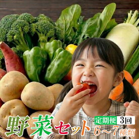 【ふるさと納税】 定期便3回「安芸ブランド」新鮮お野菜詰め合わせセット 6~7種類 高知県安芸市 安芸駅ぢばさん市場 新鮮野菜 季節の果物 10種類程度 野菜 果物 詰め合わせ 採れたて 旬の野菜セット 健康 栄養