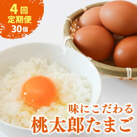 【ふるさと納税】 4回定期便 桃太郎たまご 6個入り×5パック たまご 卵 鶏卵 たまごかけごはん たまごかけ TKG おいしい 赤玉 高級 人気 おすすめ ふるさと納税 卵 定期便 4ヶ月 ふるさと納税卵 ふるさと納税 たまご 高知県 南国市