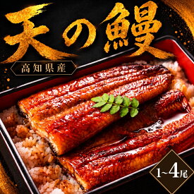 【ふるさと納税】 鰻 蒲焼 セット 選べる 1尾 2尾 3尾 4尾 土佐料理司 うなぎ ウナギ 蒲焼き かばやき 丼 おすすめ 丑の日 贈答用 父の日 母の日 内祝い 出産祝い 結婚祝い お祝い 極上 御中元 ギフト用 家庭用 贈り物 極上 真空 人気 三代目 天の鰻 高知県 南国市