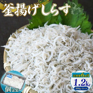 yӂ邳Ɣ[Łz 6 g炷 1.2kg VX 炷 ߂ Ⴑ   L L CN g ͂    炷 VX m 썑s