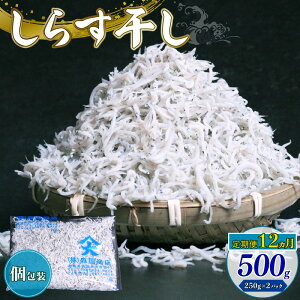 yӂ邳Ɣ[Łz 12 炷500g 炷 g ͂    m 썑s VX 炷 ߂ Ⴑ   L L CN 炷 VX