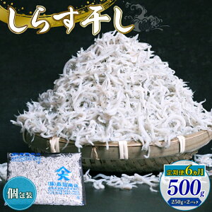 yӂ邳Ɣ[Łz 6 炷500g 炷 g ͂    m 썑s VX 炷 ߂ Ⴑ   L L CN 炷 VX