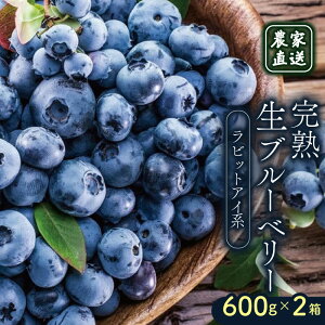 yӂ邳Ɣ[Łz _ƒ nu[x[ rbgACn 600g×2 2026N yЂܔ_ u[x[ t[c ʕ  Hi lC e  Ԍ ʌ m