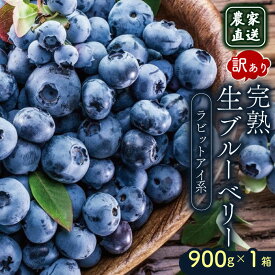 【ふるさと納税】 農家直送 訳あり 完熟生ブルーベリー ラビットアイ系 900g 2026年発送 土佐ひらやま農園 ブルーベリー フルーツ 果物 くだもの 食品 人気 美容 おすすめ 期間限定 数量限定 高知県 南国市