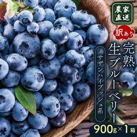 【ふるさと納税】 訳あり 農家直送 完熟生ブルーベリー サザンハイブッシュ系 900g 2026年発送 早期予約 土佐ひらやま農園 ブルーベリー フルーツ 果物 くだもの 食品 人気 美容 おすすめ 期間限定 数量限定 高知県 南国市