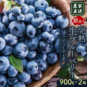 yӂ邳Ɣ[Łz 󂠂 _ƒ nu[x[ rbgACn 1800g 2026N yЂܔ_ u[x[ t[c ʕ  Hi lC e  Ԍ ʌ 