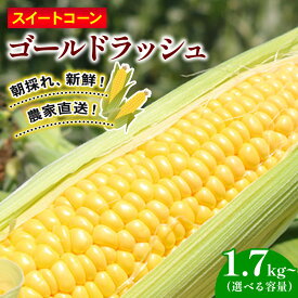 【ふるさと納税】 先行予約 訳あり スイートコーン ゴールドラッシュ 選べる 1.7kg 3.5kg 5kg 2027年発送 6月 スイート コーン 野菜 トウモロコシ とうもろこし 厳選 人気 夏 やさい 旬 甘い 産地直送 冷蔵 期間限定 季節限定 おすすめ 高知県 南国市