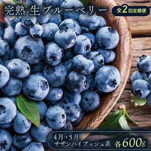 yӂ邳Ɣ[Łz _ƒ nu[x[ TUnCubVn 600g 2  2026N \ yЂܔ_ u[x[ t[c ʕ  Hi lC e  