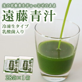 【ふるさと納税】 遠藤青汁 生 冷凍 1箱 2.8kg 100g × 28袋 健康 美容 乳酸菌 国産 ケール ビタミン ミネラル 食物繊維 冷凍 ロングセラー お試し青汁 遠藤青汁 新鮮 こだわり 高知県 南国市