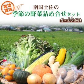 【ふるさと納税】 野菜 詰め合わせ セット 旬 やさい 野菜 農家直送 南国 土佐 季節 お楽しみ かぼちゃ カボチャ キャベツ きゃべつ トマト 玉ねぎ きゅうり 旬野菜 夏野菜 春野菜 冬野菜 人気 高知県 南国市