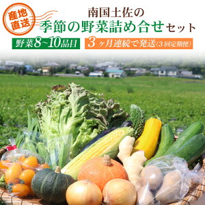 【ふるさと納税】 南国 土佐 季節 野菜 詰め合わせ セット 旬 3回 定期便 連続発送 毎月 やさい 野菜 農家直送 お楽しみ かぼちゃ カボチャ キャベツ きゃべつ トマト 玉ねぎ きゅうり 旬野菜