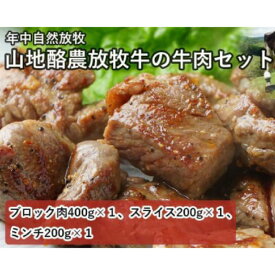 【ふるさと納税】 【南国斉藤牧場】山地酪農放牧牛の牛肉3種セット（計800g） | 肉 お肉 にく 食品 南国市産 人気 おすすめ 送料無料 ギフト セット
