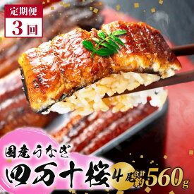 【ふるさと納税】 通常用 3回定期便 極上国産うなぎ四万十桜 蒲焼き約140g×4尾 うなぎ 鰻 蒲焼き 定期便 国産 四万十鰻 白焼き 調理済み タレ付き 頒布会 ギフト お歳暮 お正月 高級 お取り寄せ グルメ 食べ比べ 冷凍