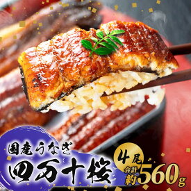 【ふるさと納税】 贈答用 極上国産うなぎ四万十桜 蒲焼き約140g×4尾 完全無投薬 うなぎ ウナギ 鰻 蒲焼き 蒲焼 国産 四万十鰻 調理済み タレ・山椒付き 土用の丑の日 お歳暮 お正月 高級 お取り寄せ こだわり ギフト プレゼント 贈答 贈り物 冷凍 高知県 南国市