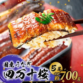 【ふるさと納税】 通常用 極上国産うなぎ四万十桜 蒲焼き約140g×5尾 完全無投薬 うなぎ ウナギ 鰻 蒲焼き 蒲焼 国産 四万十鰻 調理済み タレ・山椒付き 土用の丑の日 お歳暮 お正月 高級 お取り寄せ こだわり ギフト プレゼント 贈答 贈り物 冷凍 高知県 南国市