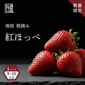 �y�ӂ邳�Ɣ[�Łz ��s�\�� ������ �g�ق��� �����i 1���i1�p�b�N�F9�`15���j 2026�N1�������J�n | ���� ���I ������� �ґ� ���蕨 �M�t�g �v���[���g ���� ������ � ������ �ʕ� ��������