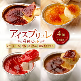 【ふるさと納税】 アイス ブリュレ 4種 セット ジャージー乳 小夏 木いちご 濃厚キャラメル 各種1個 クレーム ブリュレ キャラメル プリン クレームブリュレ おやつ お菓子 スイーツ スウィーツ 贈答 贈り物 ギフト プレゼント 送料無料 人気 おすすめ 高知県 南国市
