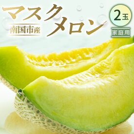 【ふるさと納税】 高知県 南国市産 家庭用 マスクメロン 2個 メロン マスクメロン フルーツ 果物 くだもの 食品 デザート 家庭用 訳あり 高評価 厳選 高級 贈り物 人気 おすすめ ふるさと納税メロン ふるさと納税 めろん 送料無料