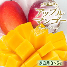 【ふるさと納税】 先行予約 高知県南国市産 家庭用 アップルマンゴー 2026年6月-発送 マンゴー アップルマンゴー フルーツ 果物 くだもの 食品 高評価 厳選 高級 ギフト 贈り物 人気 おすすめ ふるさと納税まんごー ふるさと納税 マンゴー 送料無料