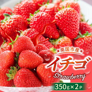 yӂ邳Ɣ[Łz m썑sY  2026N1- C`S   t[c ʕ  Hi fU[g] I  lC  \ Ԍ ӂ邳Ɣ[ł ӂ