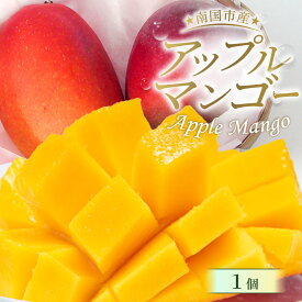 【ふるさと納税】 先行予約 高知県南国市産 完熟アップルマンゴー1個 2026年6月-発送 マンゴー アップルマンゴー フルーツ 果物 くだもの 食品 高評価 厳選 高級 ギフト 贈り物 人気 おすすめ ふるさと納税まんごー ふるさと納税 マンゴー 送料無料