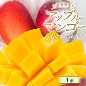 yӂ邳Ɣ[Łz s\ m썑sY nAbv}S[1 2026N6- }S[ Abv}S[ t[c ʕ  Hi ] I  Mtg 蕨 lC  