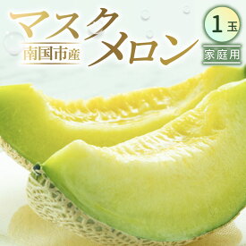 【ふるさと納税】 家庭用 マスクメロン 1個 メロン 1玉 メロン フルーツ 果物 くだもの 食品 デザート 訳あり 高評価 厳選 高級 贈り物 人気 おすすめ 産地直送 ふるさと納税メロン ふるさと納税 めろん 高知県 南国市