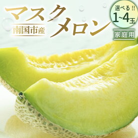 【ふるさと納税】 家庭用 マスクメロン 1個 2個 3個 4個 メロン 1玉 2玉 3玉 4玉 メロン フルーツ 果物 くだもの 食品 デザート 訳あり 高評価 厳選 高級 贈り物 人気 おすすめ 産地直送 ふるさと納税メロン ふるさと納税 めろん 西島園芸団地 高知県 南国市