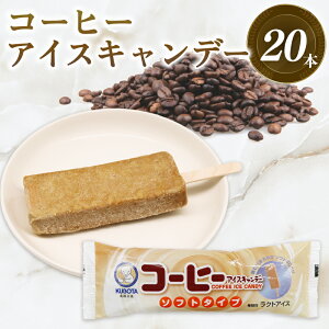 yӂ邳Ɣ[Łz R[q[ ACXLf[ 80ml 20 ACX  Xَq lC L ACXZbg lߍ킹 XC[c WF[g vۓcHi m 썑s