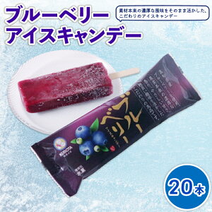 yӂ邳Ɣ[Łz u[x[ACXLf[80ml×20{ ACXN[ ACXLfB[ lC t[cACX ACXZbg lߍ킹 XC[c WF[g vۓcHi m 썑