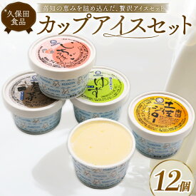 【ふるさと納税】 久保田アイスセットC 12個 アイスクリーム カップアイス フルーツアイス アイスセット 詰め合わせ スイーツ ジェラート 久保田食品 高知県 南国市