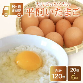 【ふるさと納税】 定期便6回 平飼い卵 20個入り たまごのおくだ 新鮮 平飼い 卵 たまご 鶏卵 卵黄 たまごかけ ご飯 玉子 タマゴ 玉子焼き たまご焼き すき焼き 鶏 ケーキ 国産 高知県 南国市