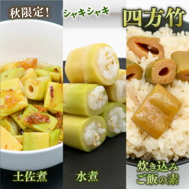 【ふるさと納税】 筍 タケノコ 竹の子 四方竹 野菜 食べ比べセット 土佐煮 水煮 炊き込みご飯の素 各3 合計9パック シャキシャキ 食感 珍味 季節 特産 珍しい 柔らか 竹の子 煮物 おでん サラダ 和え物 天ぷら キンピラ お寿司 高知県 南国市