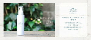 yӂ邳Ɣ[Łz VR100̓VĈI[KjbN ϐ 120ml×2{ | ϕi I[KjbN RX OAo e  Mq 䂸 ƍ͔| т悤 lC  m 썑s