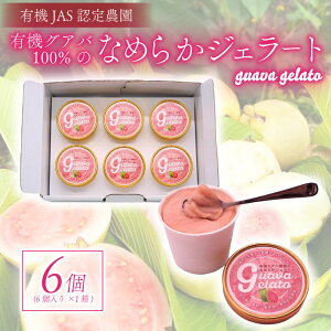 yӂ邳Ɣ[Łz 6 L@OAo_̂Ȃ߂炩WF[g َq َq  XC[c fU[g Hi lC  