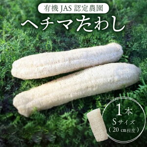 yӂ邳Ɣ[Łz w`} 킵 STCY 20cm pi w`} ւ 킵 X|W {fBX|W | |pX|W H􂢗p L@JASF m 썑s