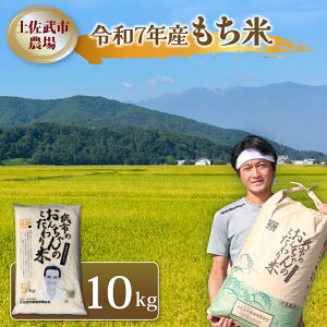 yӂ邳Ɣ[Łz ߘa7Nx  10L ʌ _͔| ݕ   ቻw엿 m 썑s