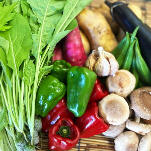 y3ցz ̐VN؃Zbg 8~11i | ؃Zbg VN  lC G߂̖  m 썑s