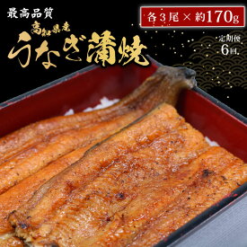 【ふるさと納税】 【6回定期便】 うなぎ蒲焼 約170g×3尾 高知県産 最高品質 合計約510g タレ 山椒 国産 鰻 おすすめ 高知県 南国市