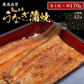 【ふるさと納税】 【12回定期便】 うなぎ蒲焼 約170g×3尾 高知県産 最高品質 合計約510g タレ 山椒 国産 鰻 おすすめ 高知県 南国市