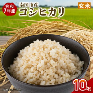 yӂ邳Ɣ[Łz ߘa7Nx 썑sY RVqJ  10kg V Ԍ ʌ  R   ɂ  ٓ m 썑s