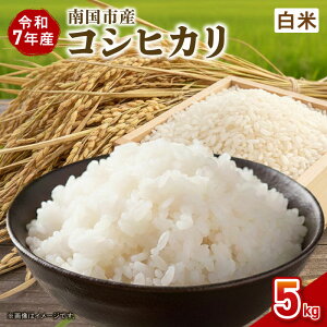 yӂ邳Ɣ[Łz ߘa7Nx 썑sY RVqJ  5kg V Ԍ ʌ  R   ɂ  ٓ m 썑s