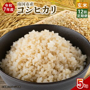 �y�ӂ邳�Ɣ[�Łz ����� 12���� �ߘa7�N�x �썑�s�Y �R�V�q�J�� ���� 5kg �V�� ���Ԍ��� ���ʌ��� �� �R�� ���� ���� ���ɂ��� ���� �ٓ� ���m�� �썑�s