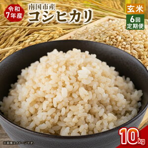 �y�ӂ邳�Ɣ[�Łz ����� 6���� �ߘa7�N�x �썑�s�Y �R�V�q�J�� ���� 10kg �V�� ���Ԍ��� ���ʌ��� �� �R�� ���� ���� ���ɂ��� ���� �ٓ� ���m�� �썑�s