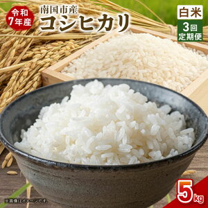 yӂ邳Ɣ[Łz  3 ߘa7Nx 썑sY RVqJ  5kg V Ԍ ʌ  R   ɂ  ٓ m 썑s