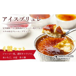 yӂ邳Ɣ[Łz ACXu4Zbg v lߍ킹 Zbg fU[g  َq XC[c XEB[c  蕨 Mtg  lC  m 썑s
